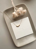 the seed necklace
